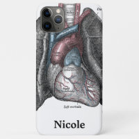  illustratie Gray's Anatomy Heart Lungs