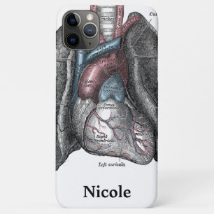  illustratie Gray's Anatomy Heart Lungs iPhone 11 Pro Max Hoesje