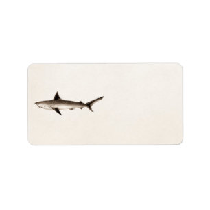 Illustratie  haaien - Sjabloon Retro Sharks Etiket