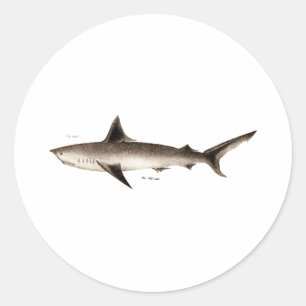 Illustratie  haaien - Sjabloon Retro Sharks Ronde Sticker