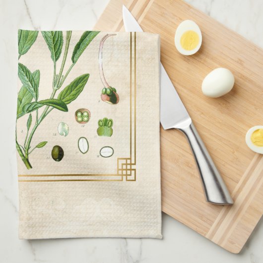 illustratie Herb Plant Sage Botanische Kunst Theedoek (Quarter Fold)