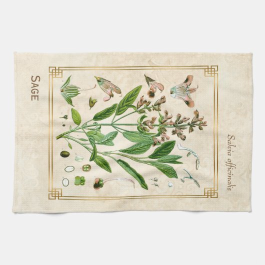 illustratie Herb Plant Sage Botanische Kunst Theedoek (Horizontaal)