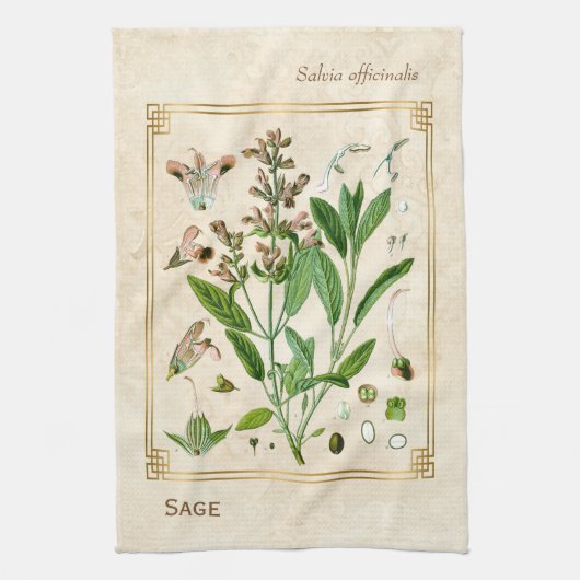 illustratie Herb Plant Sage Botanische Kunst Theedoek (Verticaal)