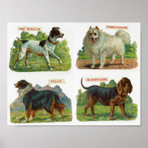 illustratie Hondenras Poster