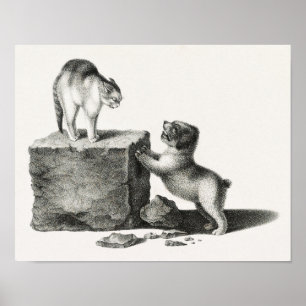 Illustratie kat en pop-up poster