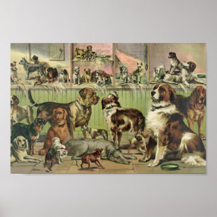 Illustratie  Kennel Club Poster