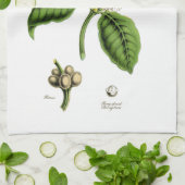 Illustratie  koffie-Plant Theedoek (Gevouwen)