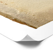 Illustratie  kokospalm poster (Hoek)