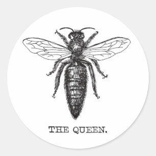 Illustratie koningin bij klassieke tekening ronde sticker