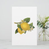 Illustratie  Lemons Briefpapier (Staand voorkant)