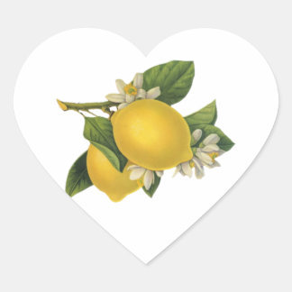 Illustratie Lemons Hart Sticker