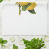 Illustratie  Lemons Theedoek (Gevouwen)