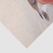  illustratie: Mandarijn eend Tissuepapier (Detail)