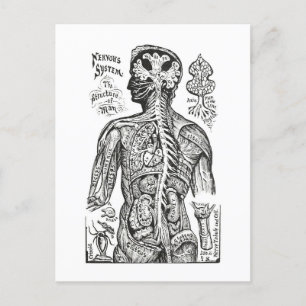 illustratie: Menselijk Anatomiediagram Briefkaart