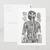 illustratie: Menselijk Anatomiediagram Briefkaart (Voorkant / Achterkant)
