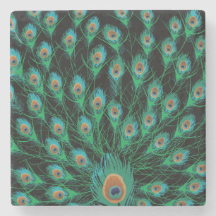 Illustratie met Peacock-veren op zwart Stenen Onderzetter