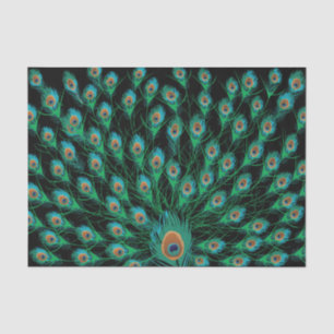 Illustratie met Peacock-veren op zwart Tissuepapier