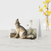 Illustratie met wift Fox (Vulpes velox) Kaart (Gele Bloem)