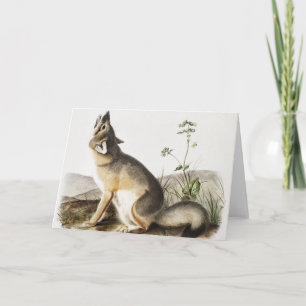 Illustratie met wift Fox (Vulpes velox) Kaart