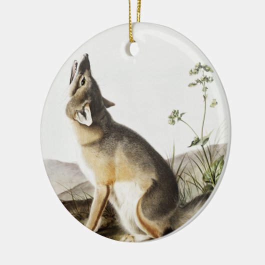 Illustratie met wift Fox (Vulpes velox) Keramisch Ornament (Links)
