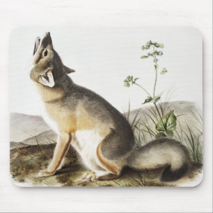 Illustratie met wift Fox (Vulpes velox) Muismat