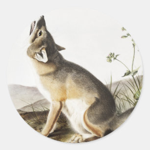 Illustratie met wift Fox (Vulpes velox) Ronde Sticker