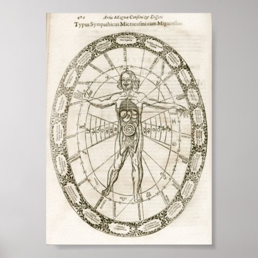 Illustratie microkosmos poster (Voorkant)