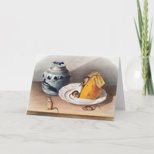 Illustratie muis (muizen-musculus) kaart (Voorkant)