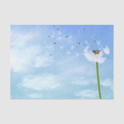 Illustratie Natuur Dandelion Blue Sky Tissuepapier (Voorkant)