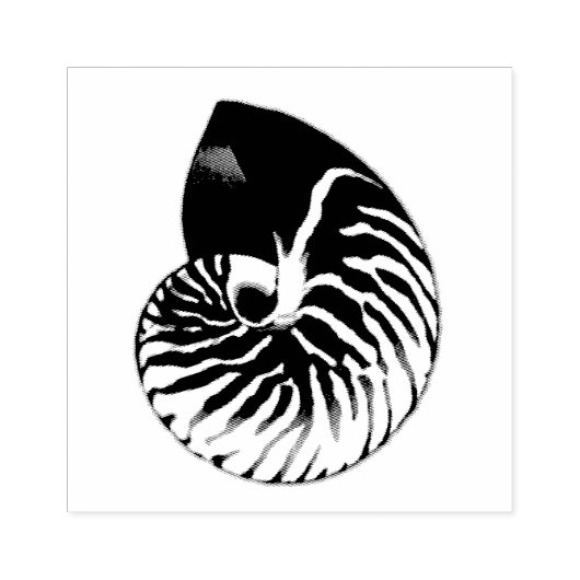 Illustratie Nautilus Shell Rubberstempel (Afrduk)