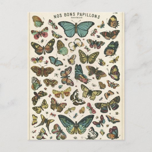Illustratie nos bons papillons briefkaart (Voorkant)