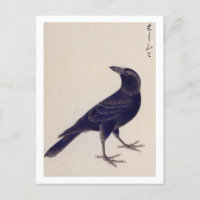 illustratie: Oerwoud kraai