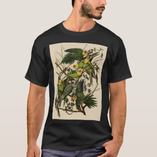 Illustratie papegaai t-shirt