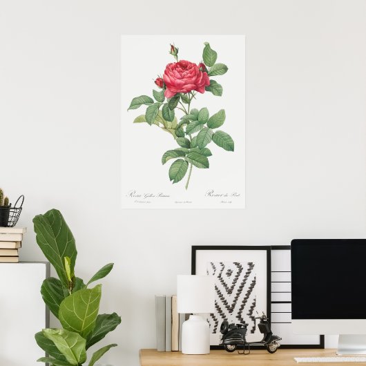 illustratie Roos Poster (Thuiskantoor)