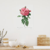  illustratie Roos Poster (Keuken)