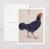  illustratie: Shamo kippen Briefkaart (Voorkant / Achterkant)