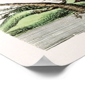 Illustratie  slang poster (Hoek)