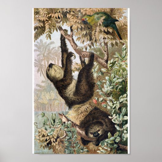 illustratie sleuf poster (Voorkant)