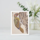  illustratie: specht briefkaart (Staand voorkant)