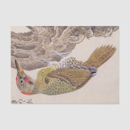  illustratie: specht tissuepapier (Voorkant)