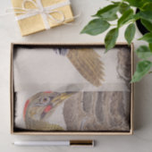  illustratie: specht tissuepapier (Geschenk)