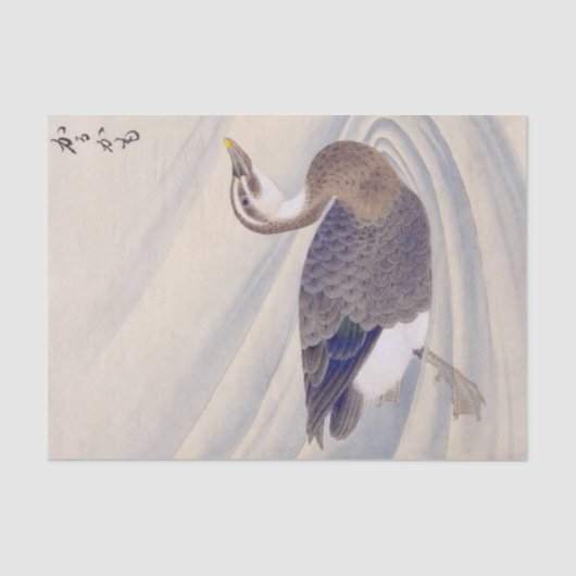  illustratie: Spot-billed eend Tissuepapier (Voorkant)