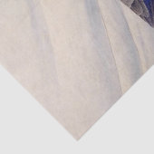  illustratie: Spot-billed eend Tissuepapier (Detail)