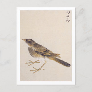illustratie: spruw briefkaart