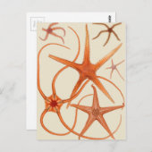 Illustratie  stervis briefkaart (Voorkant / Achterkant)