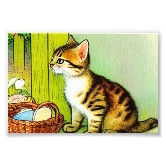 Illustratie  tabby Cat Foto Afdruk (Voorkant)