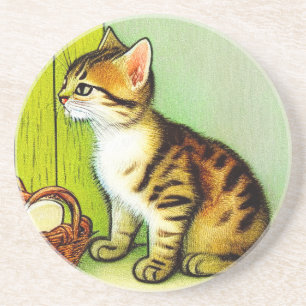 Illustratie tabby Cat Zandsteen Onderzetter