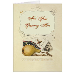 Illustratie ter illustratie van de insekte van vli