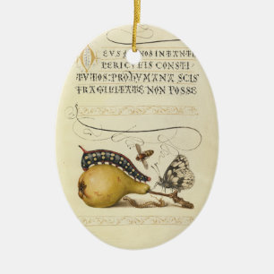 Illustratie ter illustratie van de insekte van vli keramisch ornament