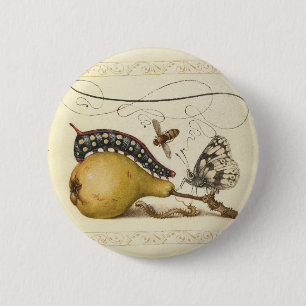 Illustratie ter illustratie van de insekte van vli ronde button 5,7 cm